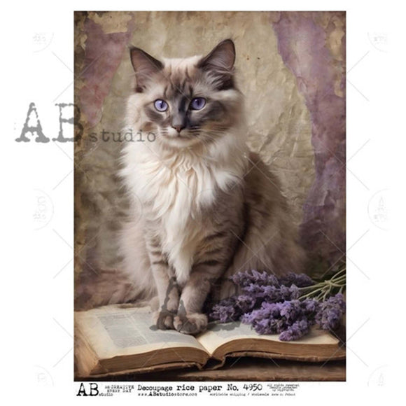 Cat with blue eyes sitting on an open book with lavender, AB Studio watermark visible