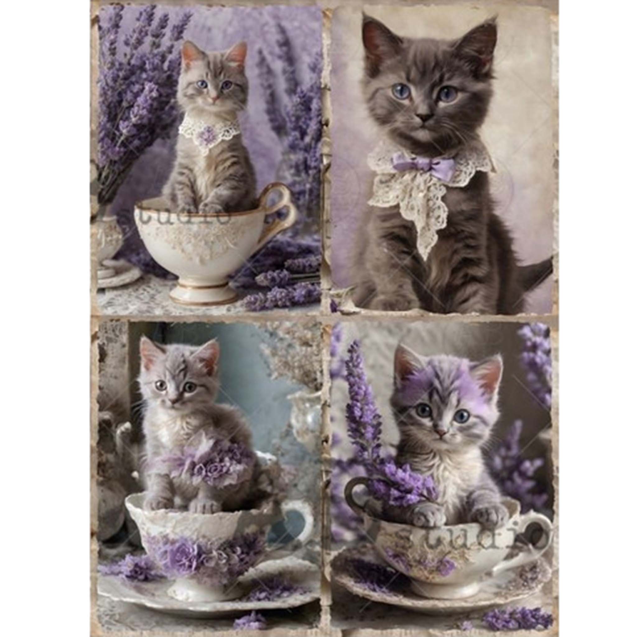 A4 rice paper that features 4 scenes of adorable gray kittens sitting in teacups with lavender flowers. White borders are on the sides.
