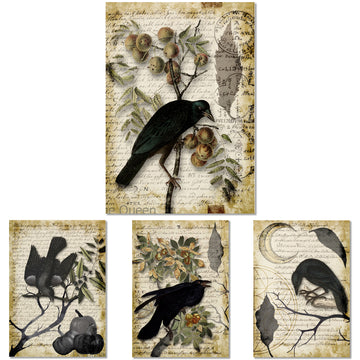 Rice papers against a white background feature 4 designs of ravens, birds, pumpkins, and a crescent moon each against their own vintage script note background.