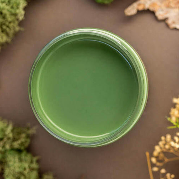 An arial view of an open container of Dixie Belle Paint Company’s English Ivy Chalk Mineral Paint is surrounded by green peat moss.