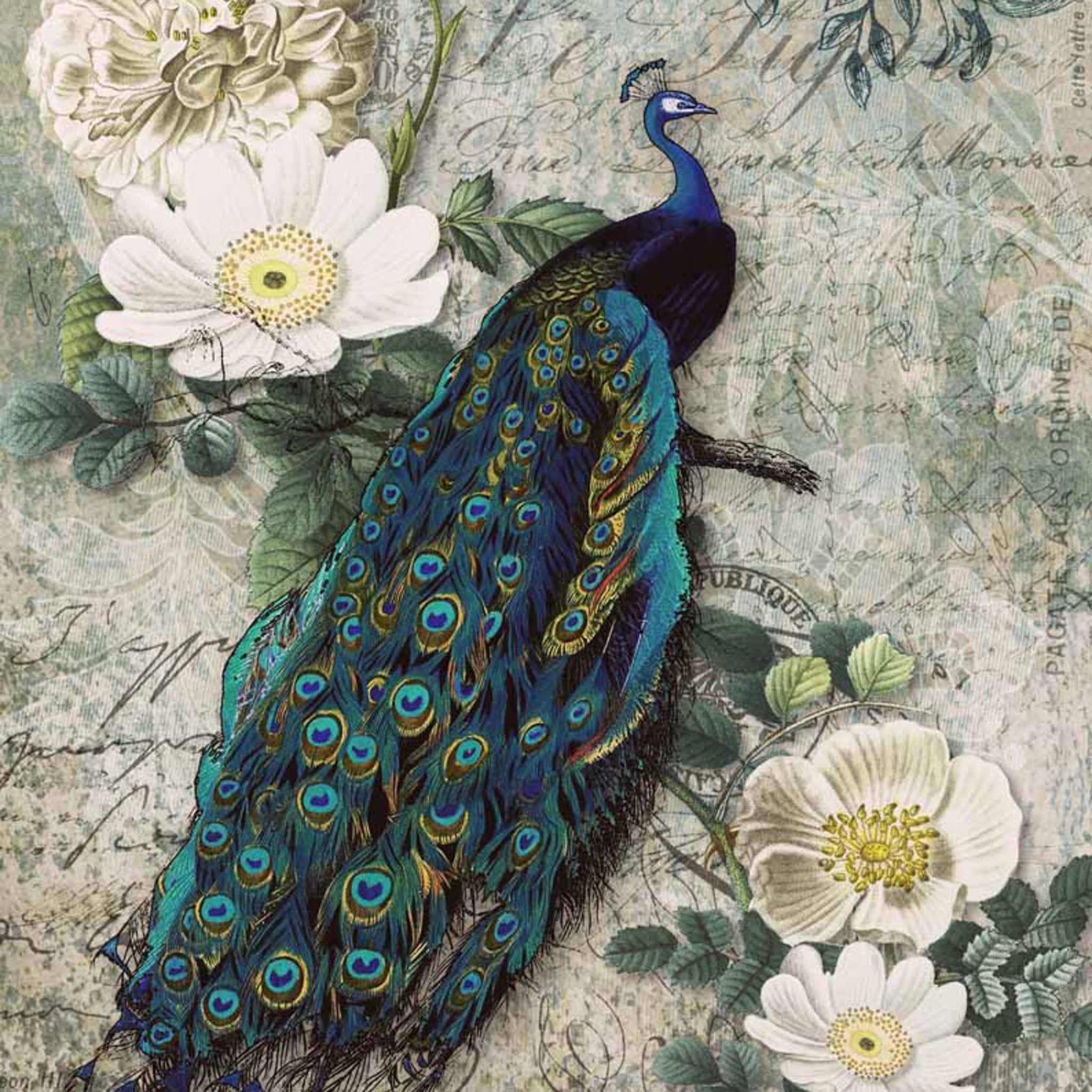 A1 rice paper design that features a large peacock on a branch with green foliage and white flowers against a vintage parchment background with a lace border at the top.