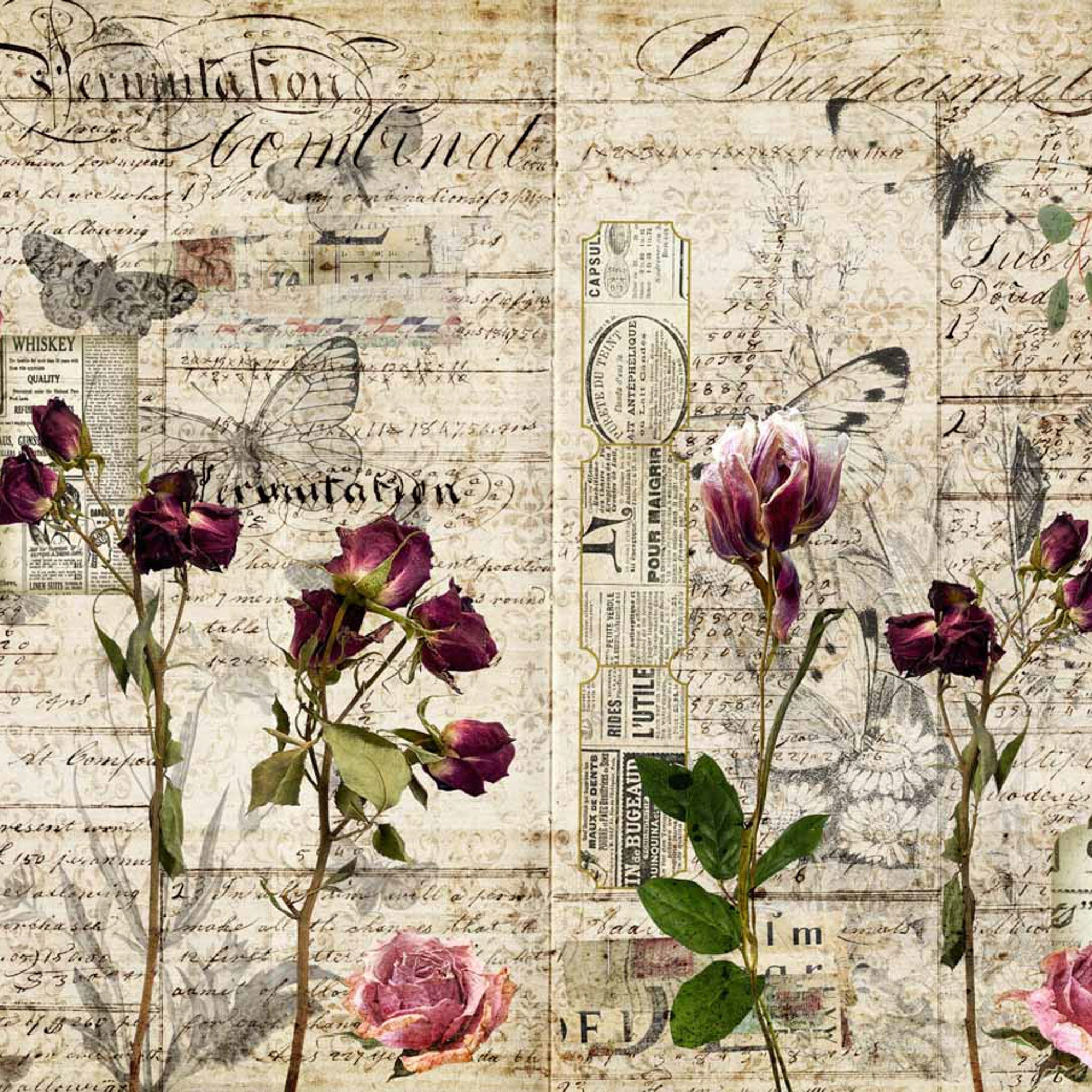 A3 rice paper design of pressed flowers against a collage of vintage magazine clippings and letters.