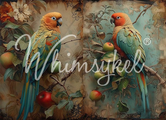 Whimsykel - Parrot Paradise Decoupage Paper (21x29 Size)