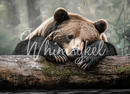 Full 21x29 Whimsykel Tuckered Teddy decoupage paper design, cozy sleeping bear woodland scene for furniture upcycling