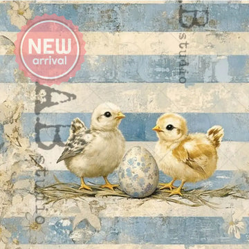 Two chicks and an egg on a textured blue and white striped background with 'AB Studio' branding.