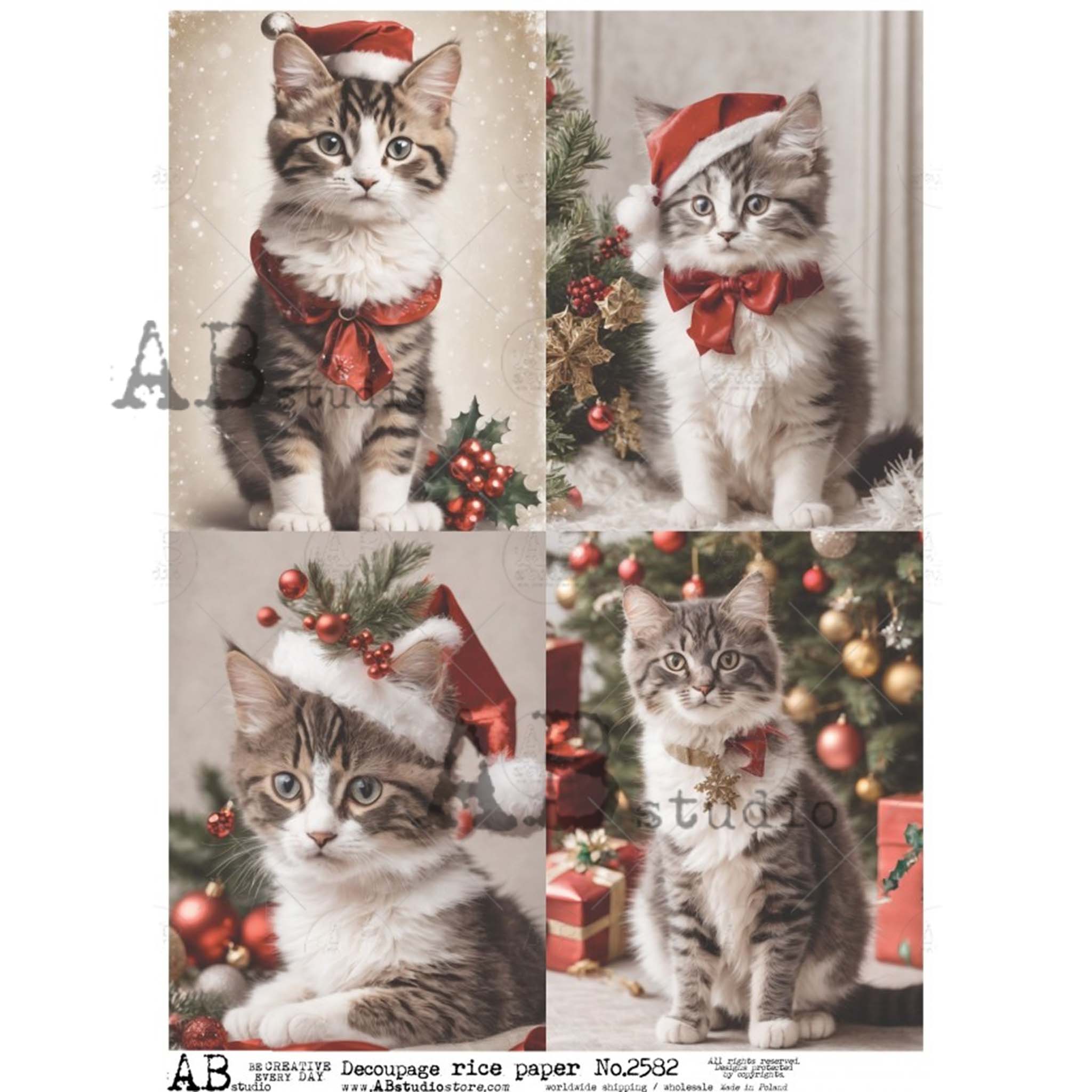 A4 rice paper design featuring four designs of cuddly kittens in classic Christmas colors wearing Santa hats and ribbon collars is against a white background.