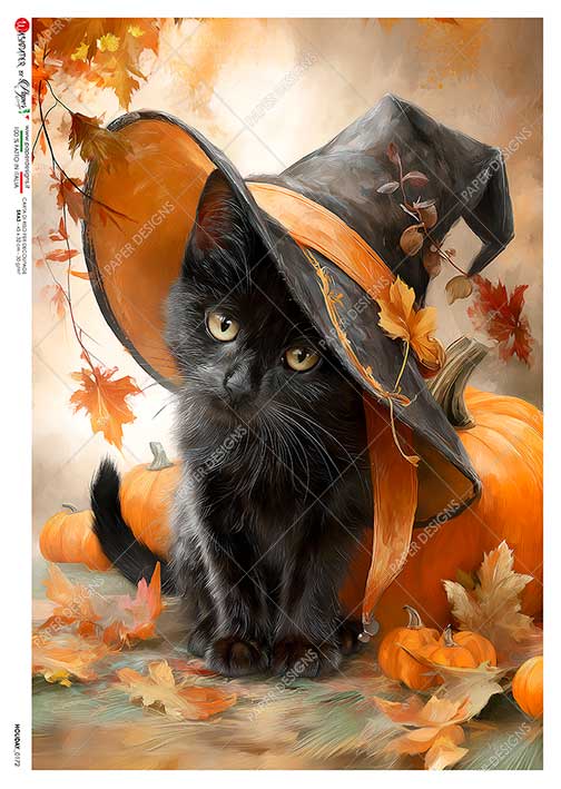 Paper Designs Italy - Autumn Witch Cat Decoupage Paper (A5 & A4 Sizes)