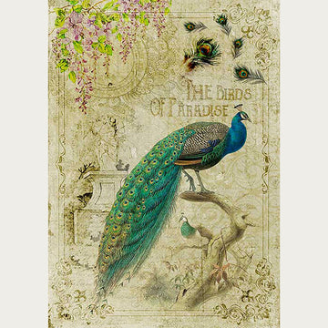 Decorative image with a peacock and floral elements on a textured background