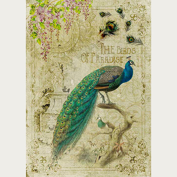 Decorative image with a peacock and floral elements on a textured background