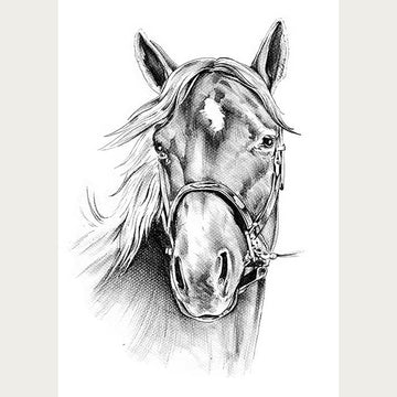 Rice paper design that features a bold black and white profile sketch of a majestic horse. Light beige borders are on the sides.