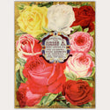A4 rice paper design of a page of a vintage plant catalog that features large colorful rose blooms. White borders are on the sides.
