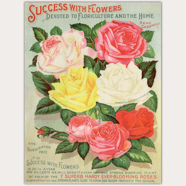 A4 rice paper design that features the cover of a vintage flower catalog with large colorful roses on it. White borders are on the sides.