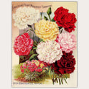 A4 rice paper design that features a large, beautiful bouquet of carnations on a vintage magazine. White borders are on the sides.