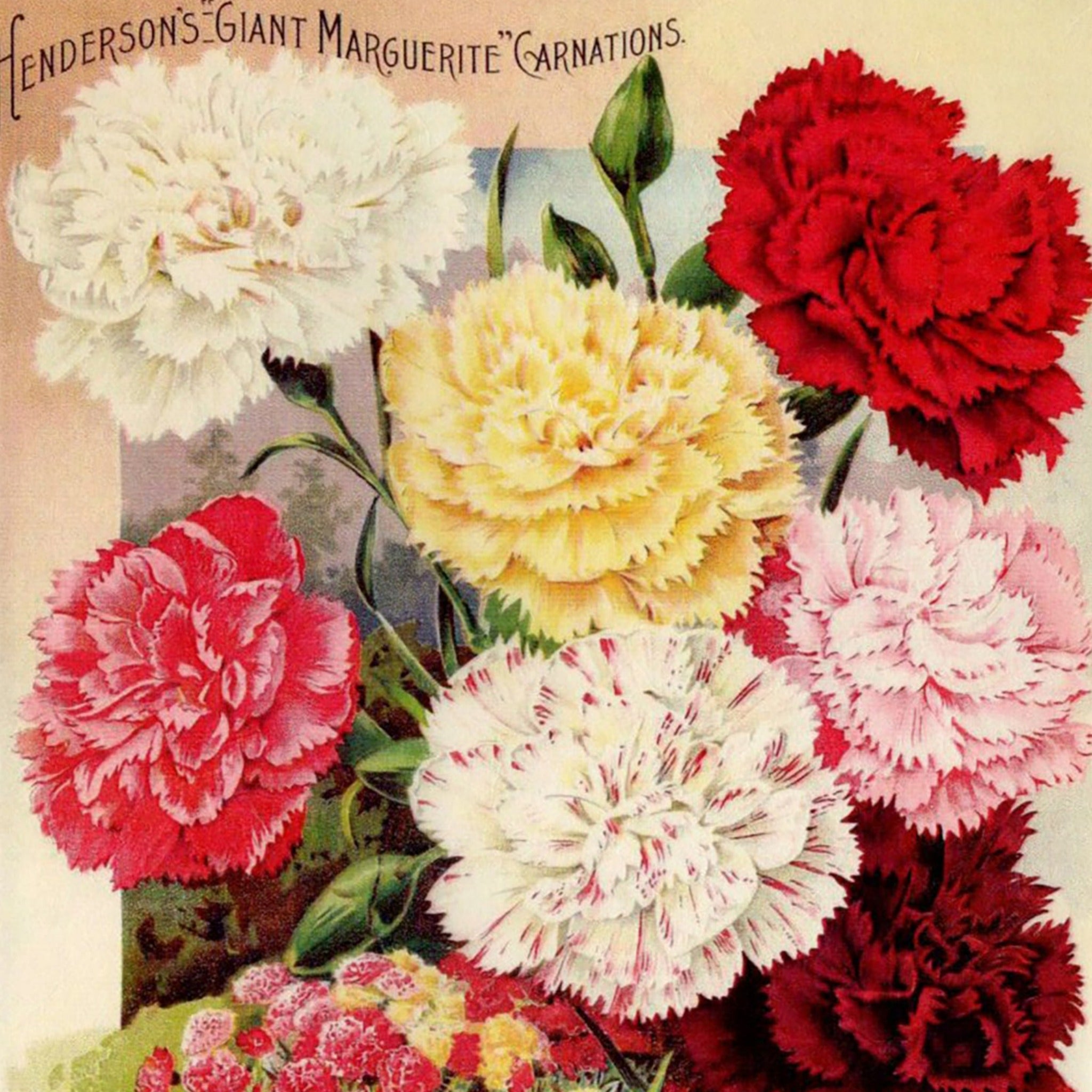 A4 rice paper design that features a large, beautiful bouquet of carnations on a vintage magazine.