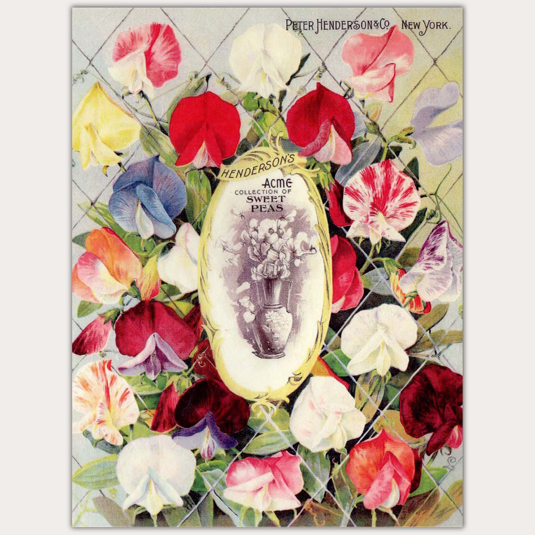 A4 rice paper design of a vintage magazine cover that features the most delightful sweetpea blooms. White borders on the sides.