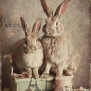 Closeup of vintage bunny pair on AB Studio Bunny Family Vintage Style A4 rice decoupage paper