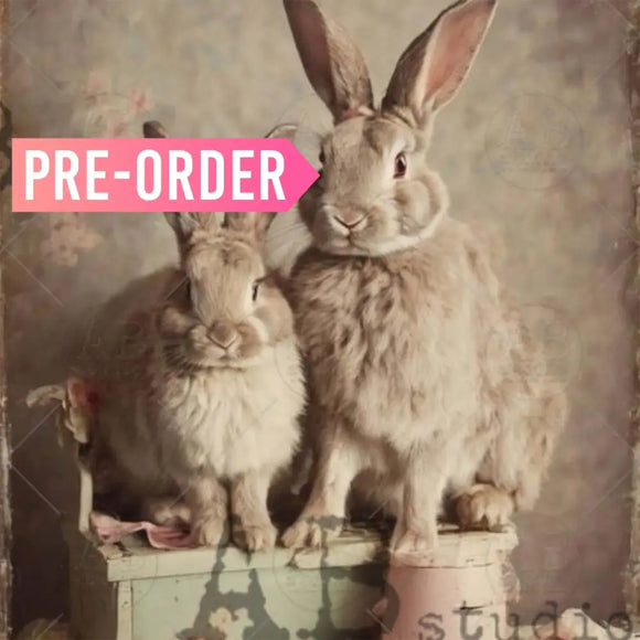 Closeup of vintage bunny pair on AB Studio Bunny Family Vintage Style A4 rice decoupage paper