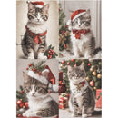 Collage of a cats wearing a Santa hat with Christmas decorations in the background.