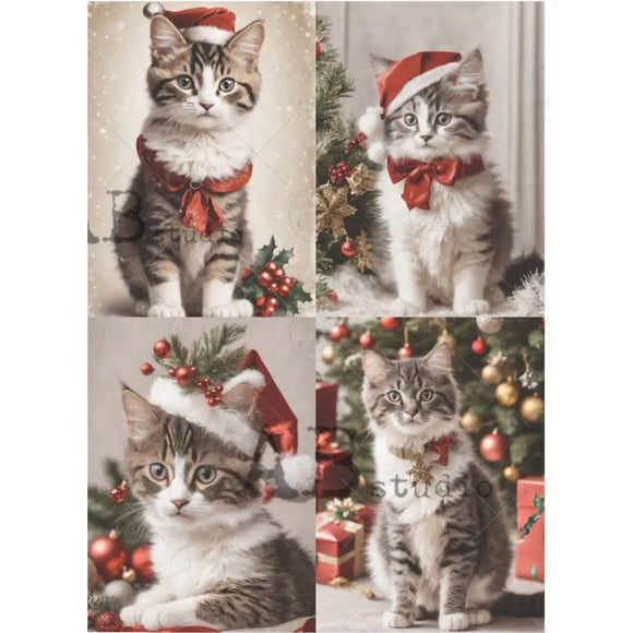Collage of a cats wearing a Santa hat with Christmas decorations in the background.
