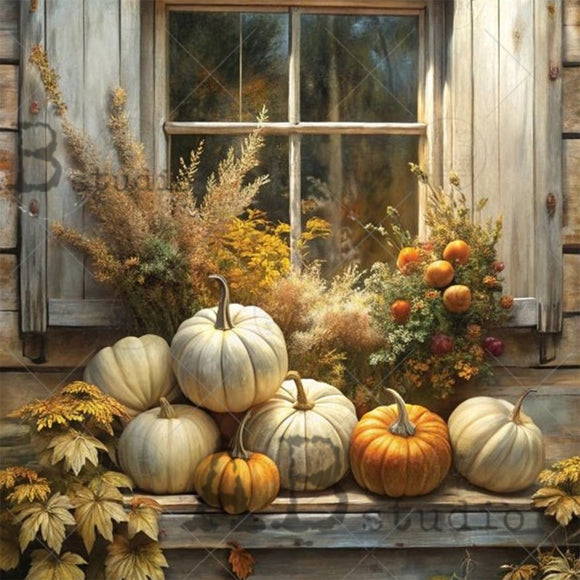 Autumn scene with pumpkins and flowers on a windowsill.