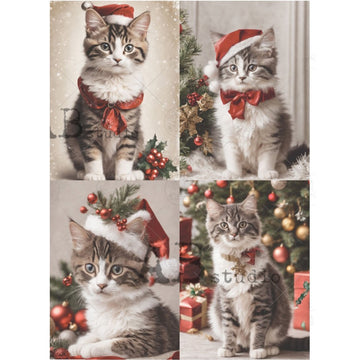 Collage of a cats wearing a Santa hat with Christmas decorations in the background.