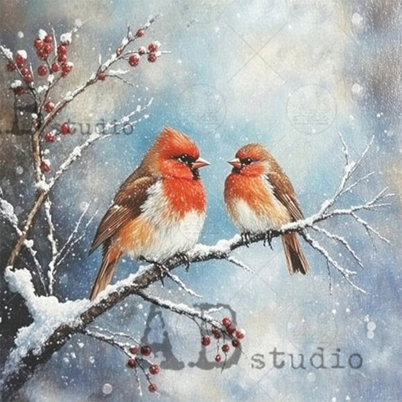Two cardinals on a snowy branch with berries, featuring the 'D studio' logo.