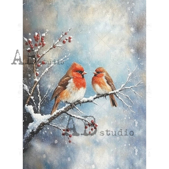 Two birds perched on a snow-covered branch with berries against a snowy background, featuring 'AB Studio' branding.
