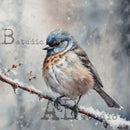 Bird perched on a branch with a snowy background, featuring 'B studio' branding.