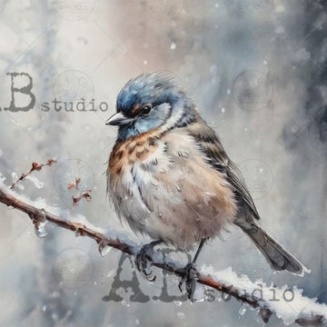 Bird perched on a branch with a snowy background, featuring 'B studio' branding.