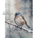 Bird perched on a branch with a snowy background, featuring the AB Studio logo.