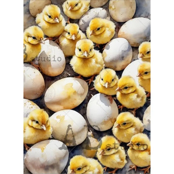 Full sheet AB Studio Easter chicks and eggs A4 rice decoupage paper, vintage spring design for card making and journaling