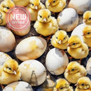 Closeup of AB Studio Easter chicks and eggs A4 rice decoupage paper design with fluffy yellow chicks and cracked eggshells