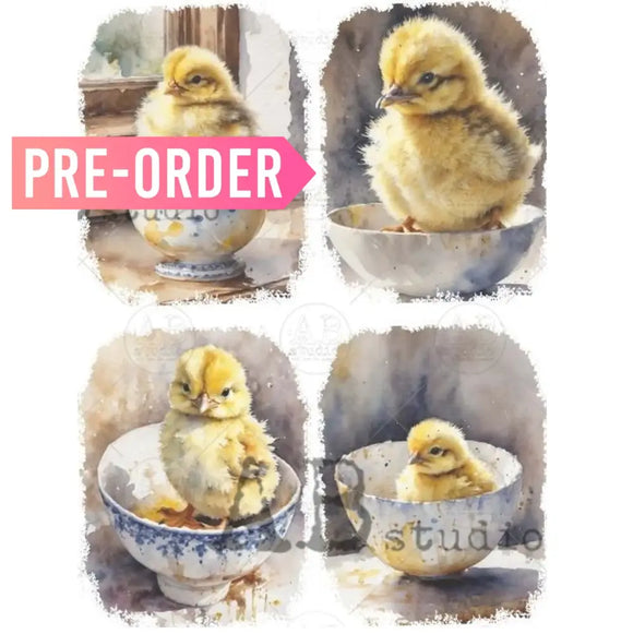 A4 rice paper design that features 4 adorable images of yellow chicks sitting in teacups are against a white background.