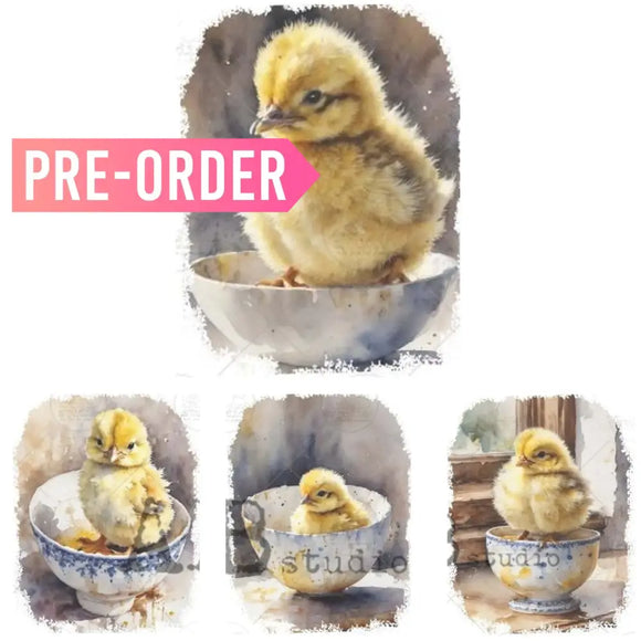A4 rice paper design that features 4 adorable images of yellow chicks sitting in teacups are against a white background.