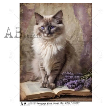 Cat with blue eyes sitting on an open book with lavender, AB Studio watermark visible