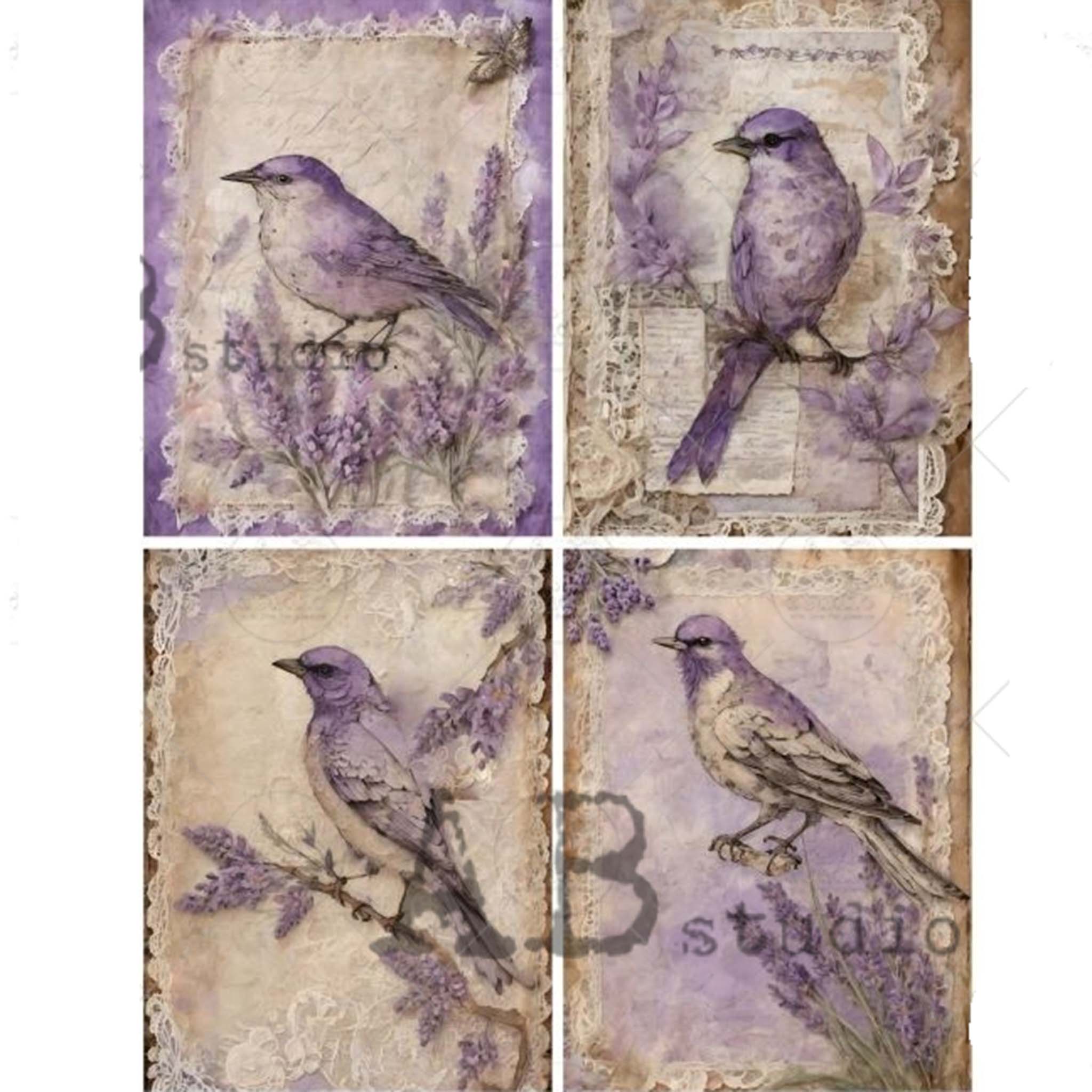 A4 rice paper design that features 4 designs of small birds with delicate lavender sprigs is against a white background.