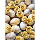 Full sheet AB Studio Easter chicks and eggs A4 rice decoupage paper, vintage spring design for card making and journaling