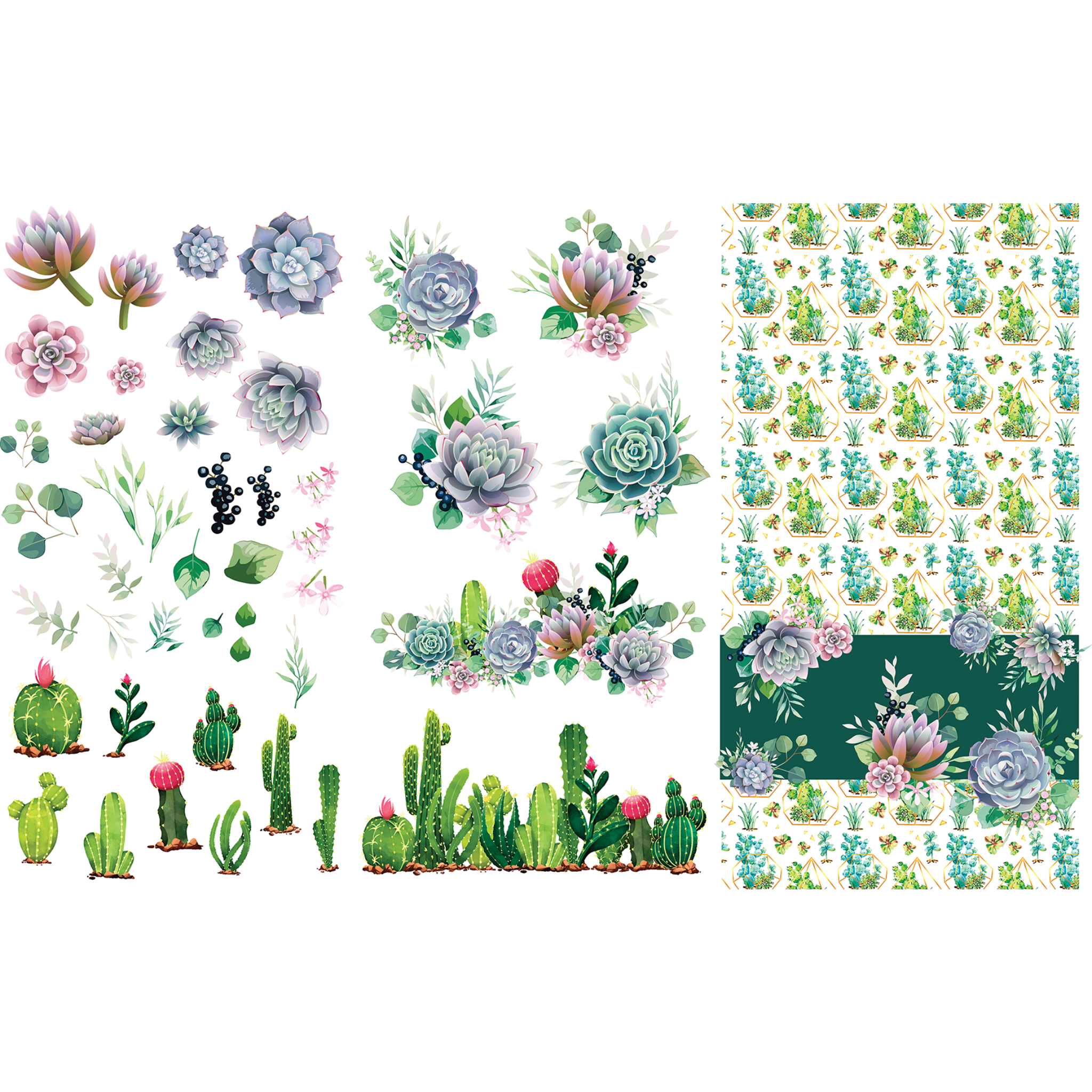 Rub-on transfer design against a white background that features soft pink and purple flower succulents, green cactus, and a repeating pattern of cactus bundles on the right.