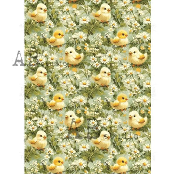 Carte Italiano - Farmhouse Chicks & Daisies Decoupage Paper (A4 Size) Decoupage Paper