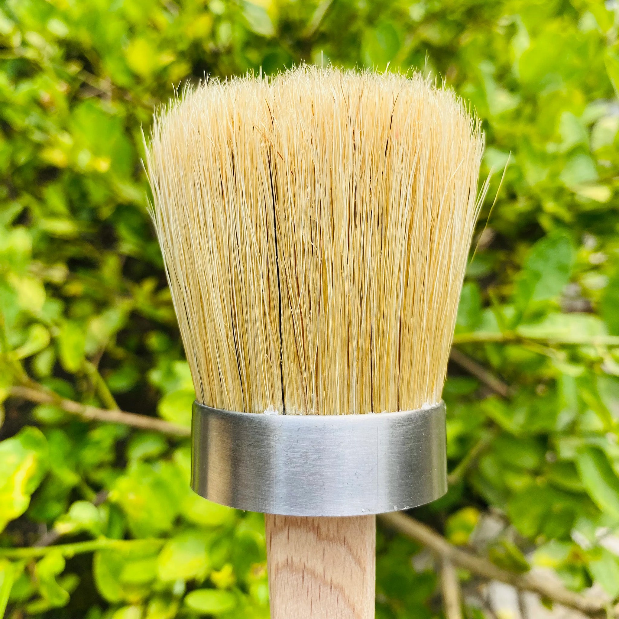 A close-up of an oval bristle paint brush is shown against a green bush backdrop.