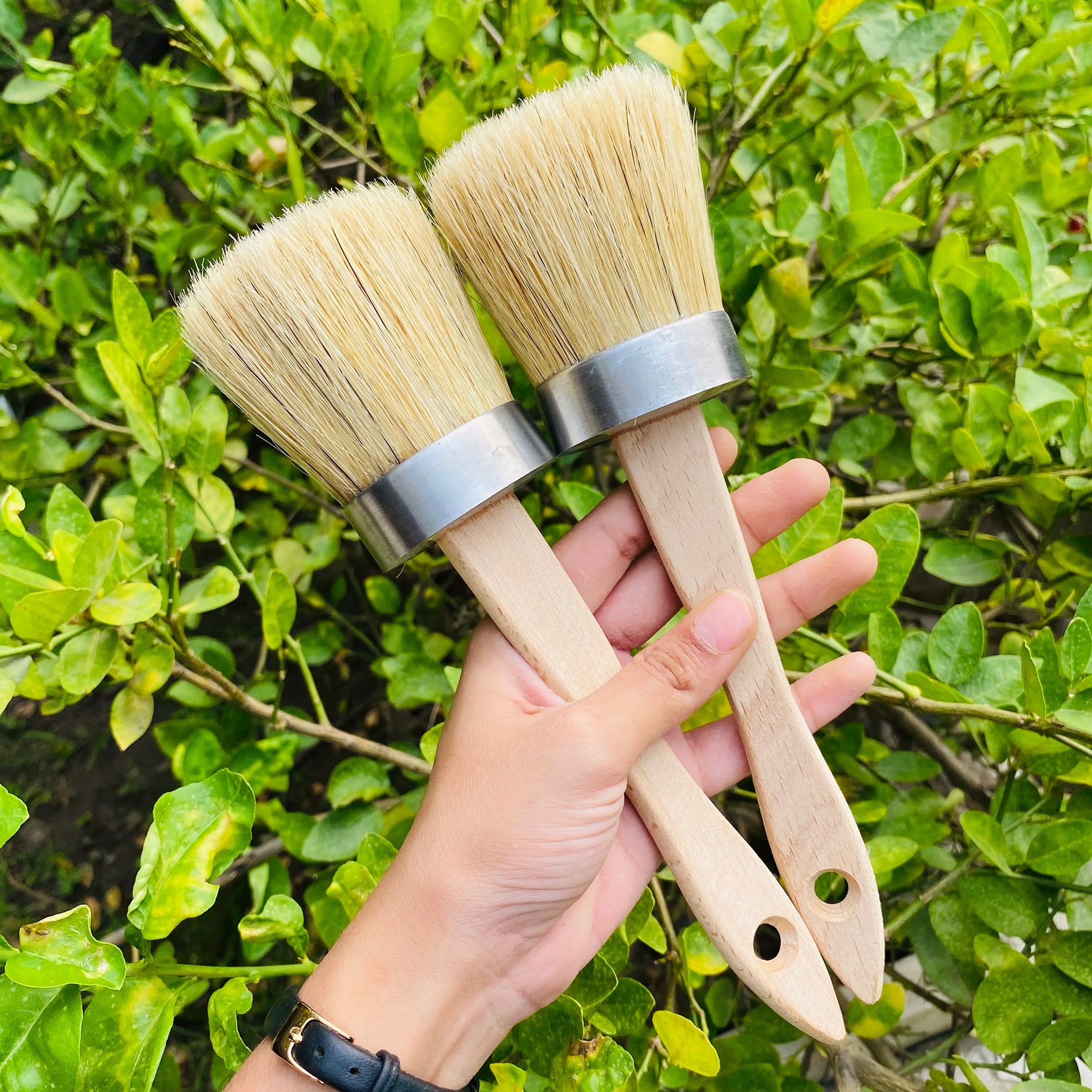 A hand is shown holding 2 of Dadarkar Arts Oval Paint Brushes against a green bush backdrop.