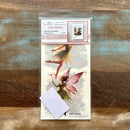 Packaging of Faye Noire rub on transfers on a wooden surface.