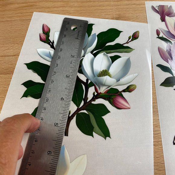 Dadarkar Art - Magnolia Luxe Small Furniture Transfer (3 Sheets 6x12 Each) Rub-On Transfer
