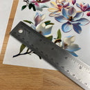 Dadarkar Art - Magnolia Luxe Small Furniture Transfer (3 Sheets 6x12 Each) Rub-On Transfer