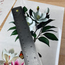 Dadarkar Art - Magnolia Luxe Small Furniture Transfer (3 Sheets 6x12 Each) Rub-On Transfer