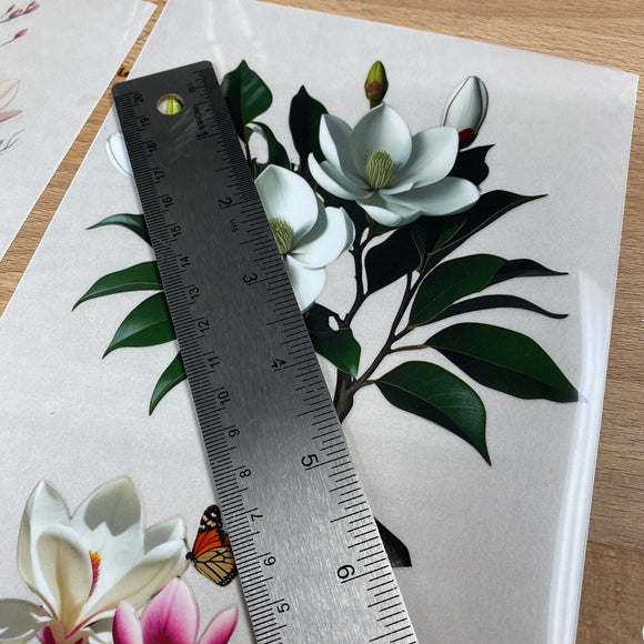 Dadarkar Art - Magnolia Luxe Small Furniture Transfer (3 Sheets 6x12 Each) Rub-On Transfer