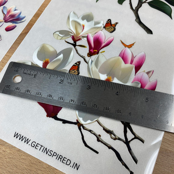 Dadarkar Art - Magnolia Luxe Small Furniture Transfer (3 Sheets 6x12 Each) Rub-On Transfer
