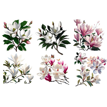 Dadarkar Art - Magnolia Luxe Small Furniture Transfer (3 Sheets 6x12 Each) Rub-On Transfer