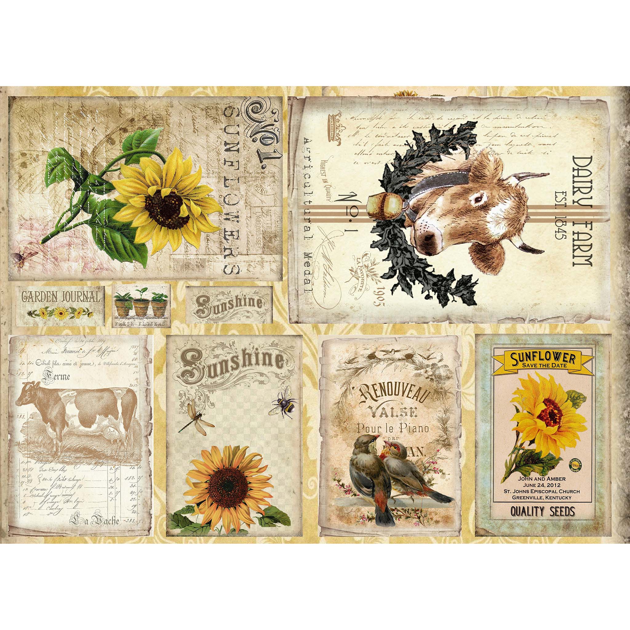Tissue paper design that features  6 vintage designs of cows, sunflowers, and birds on old farm documents with 3 smaller country images. White borders are on the top and bottom.