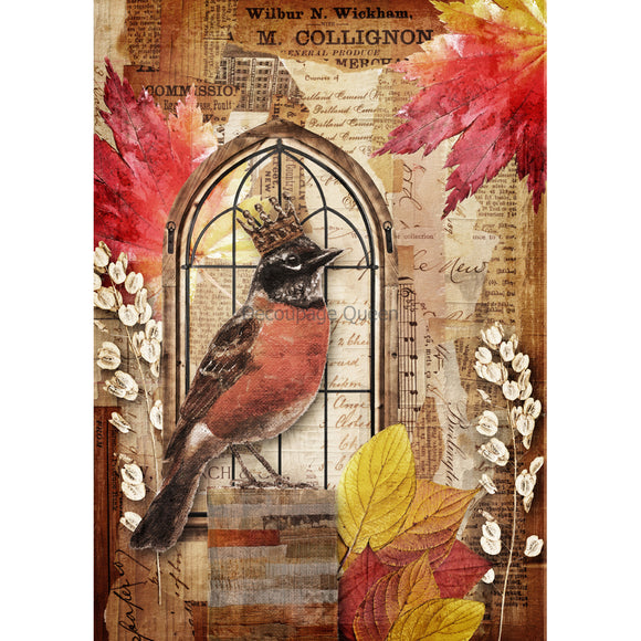 Rice paper featuring a regal robin perched on an old window frame surrounded by autumn leaves and vintage documents. White borders are on the sides.